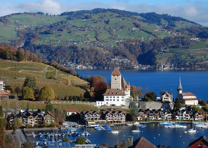 Oase Zum Sein