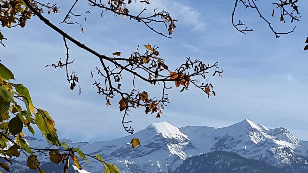 Oase Zum Sein * Spiez