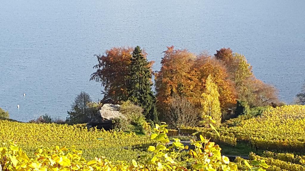 Oase Zum Sein Homestay *